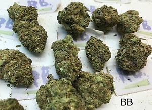 BERRY BLAST MID SHELF CALI