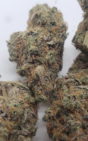 BLUEBERRY MUFFINS (INDICA DOM)