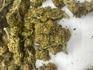 Orange Creamsicle - Cali Lows - small nugs