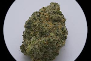 GMO COOKIES (INDICA)