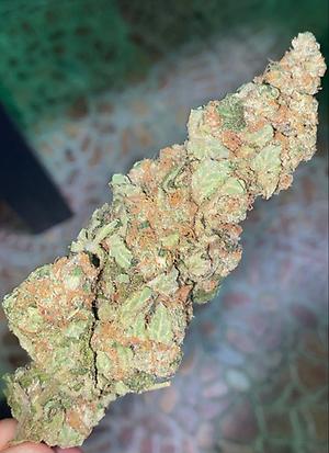 Chocolate Gelato (Indoor Top)