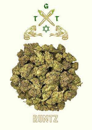 EXCLUSIVE RUNTZ *FREE SHIPPING*