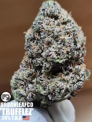 **TRUFFLEZ - (FREE RM 1ST CLASS SHIPPING)**