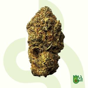 Animal Sorbet *Free Shipping*