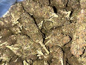 $150 Dollar OUNCES!!!!