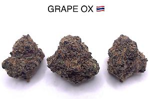 GRAPE OX