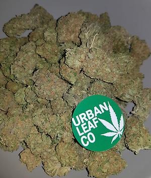 **LEMON ZEST (FREE RM 1ST CLASS POSTAGE)**