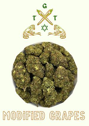 PREMIUM MODIFIED GRAPES *FREE SHIPPING*