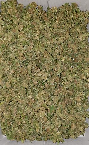 **MIXED STRAIN SHAKE - (FREE RM 1ST CLASS)**