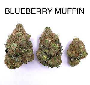 BLUEBERRY MUFFIN