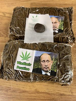 SUPER SOFT HIGH GRADE MOROCCAN DARK M&M STAMP HASH