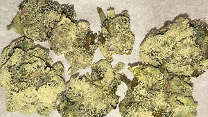 MOON ROCKS