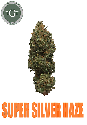 SUPER SILVER HAZE *NOV STOCK*