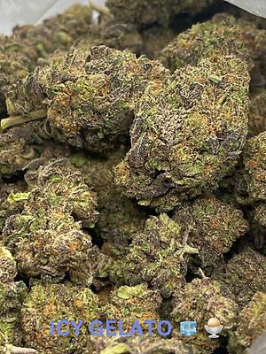 Hemp Lady’s Special Tier Strains - Variety of Exotics