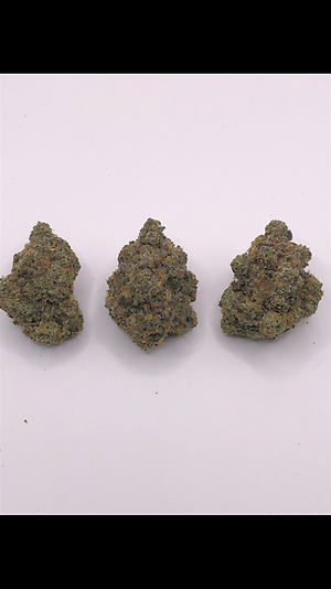 GARY PAYTON - EXOTICS