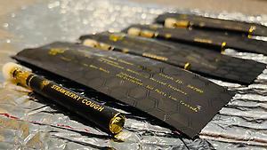 Pollinate 0.6ml Disposable Unit