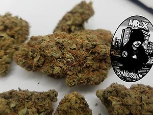 ***OLD SKOOL LEMONS*** (FREE 1st CLASS RM)