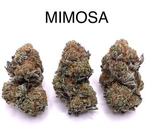 MIMOSA