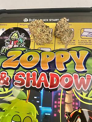 Shadow and Zoppy Cali by ZourZop