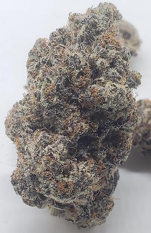 WHITE CHOCOLATE COVERED STRAWBERRIES (HYBRID)