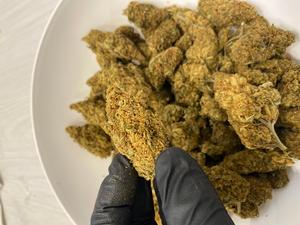 Old stock cheap OZs $100