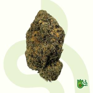 Wocky Donut *Free Shipping*