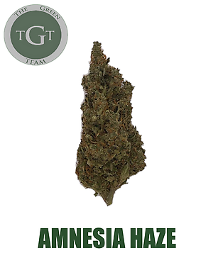 AMNESIA HAZE