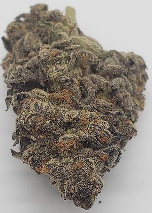 APPLE FRITTERS (SATIVA)