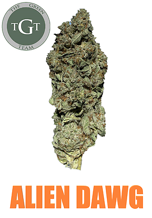 ALIEN DAWG *FRESH STOCK**