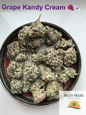 Cherry sherbet (Sunset Sherbet x Cherry cookies BX1)