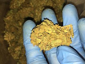 Ghost dawg - MrHublot Quality