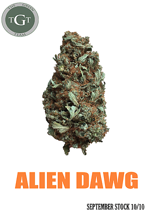 ALIEN DAWG **SEPTEMBER STOCK**