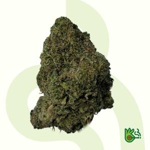 Doctor Exotics Turbo 1 *Free Shipping*