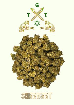 EXCLUSIVE SHERBERT *FREE SHIPPING*