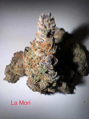 La Mori- Apple Fritter