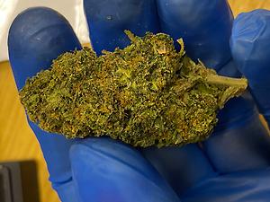 Hydroponically Grown Gelato - rich in flavour and moist