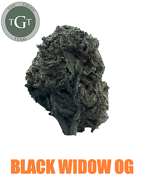 BLACKWIDOW OG