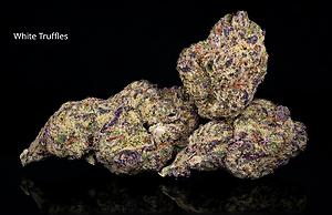 Midzotics FREE UK SHIPPING