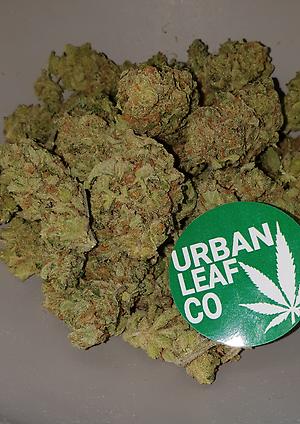 **LEMON BUBBLE BATCH #2 - FREE 1ST CLASS / NDD @ $10**