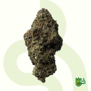 Exodus X Ozk *Free Shipping*