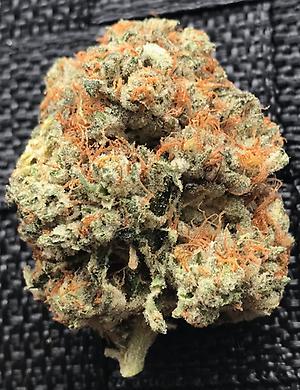 Star Dog - Chem Dog 4 x Tres Dawg