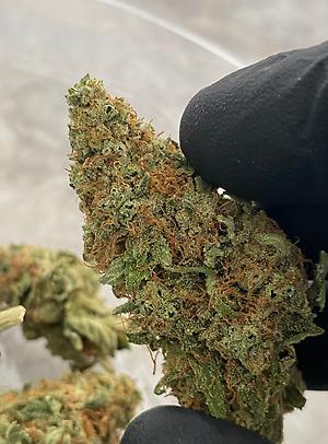 #WATERMELON 🍉 ZKITTLEZ 🍬#