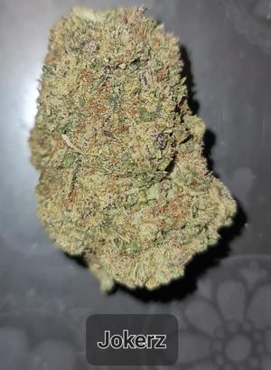 JOKERZ - INDICA - MIX & MATCH AVILABLE