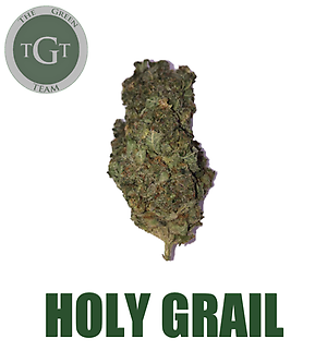 HOLY GRAIL *PREMIUM*