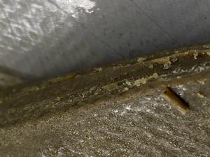 Unbranded Fine Frozen Hash - Gelato 44