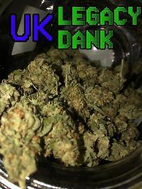 Kosher Dawg (Kosher Kush x Stardawg) 10/10 DANK