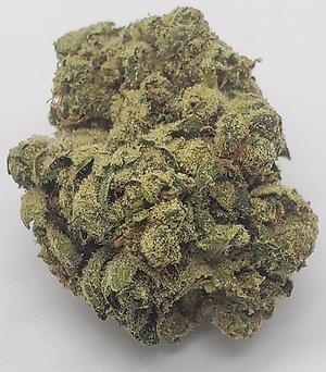 DARTH VADER OG (INDICA DOM)