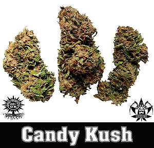 Candy Kush- Free UK Delivery.