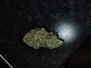 SAMPLE [PURPLE COOKIES]