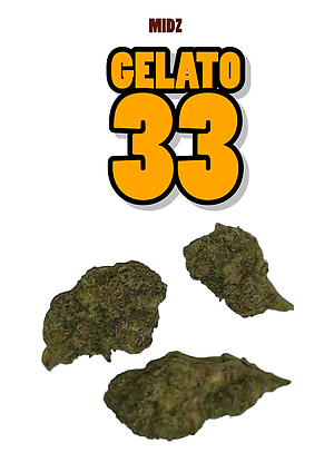GELATO 33
